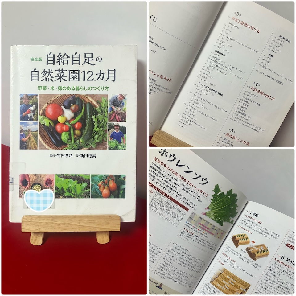 自給自足の自然菜園12カ月／新田穂高
